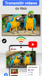 Smart TV Cast para Chromecast 6