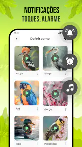 Sons de pássaros screenshot