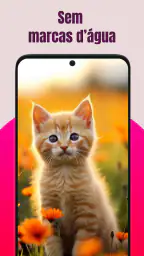SSS: TT Video Downloader HD 5