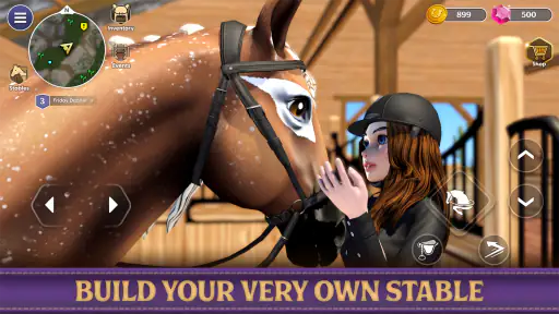 Star Equestrian - Horse Ranch 4