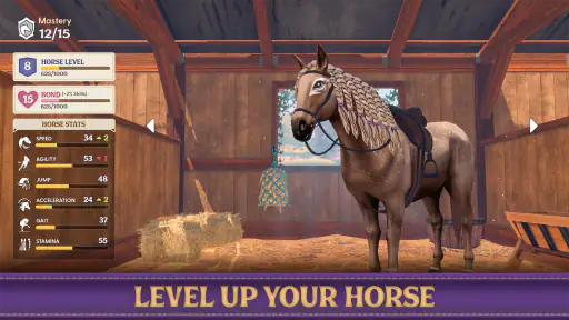 Star Equestrian - Horse Ranch 7