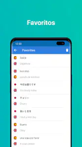 Talk & Translate AI Translator screenshot