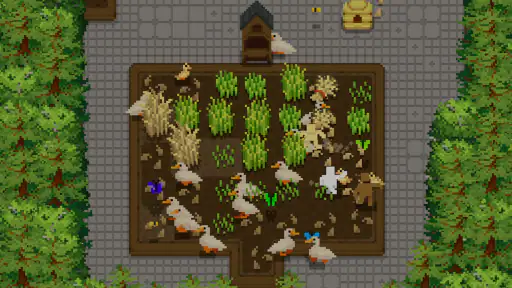 Tiny Terraces 3