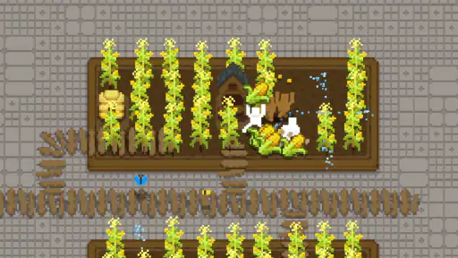 Tiny Terraces 6