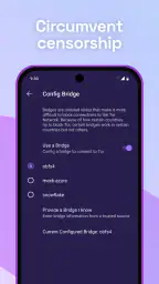 Tor Browser 2