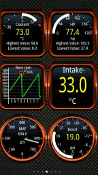 Torque Pro (OBD2 / Carro) 2