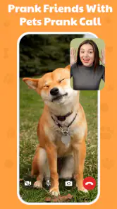 Tradutor De Cachorro Divertido screenshot