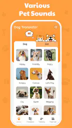Tradutor De Cachorro Divertido 4