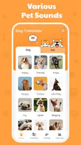 Tradutor De Cachorro Divertido screenshot