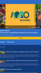 TV Brasil Internacional 4