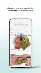 VetGuide Medicina Veterinária 6
