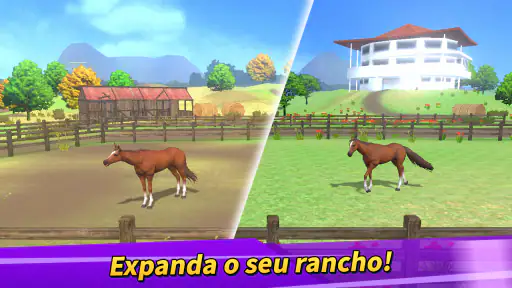 Vida de competição 2