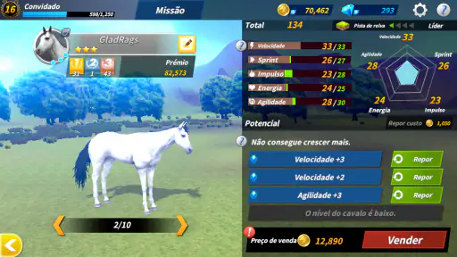 Vida de competição 6