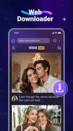Video downloader 1