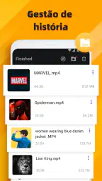 Video downloader 6