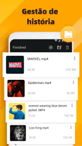 Video downloader screenshot