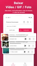Pinterest Video Downloader 1