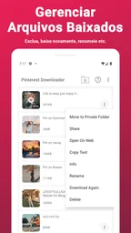 Pinterest Video Downloader 4