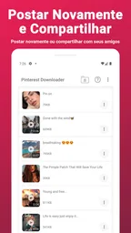 Pinterest Video Downloader 6