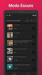 Pinterest Video Downloader 7