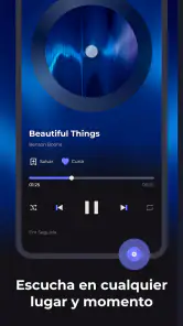 WaveFlow – Música Offline screenshot
