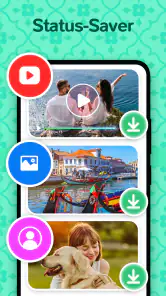 Web Scanner screenshot