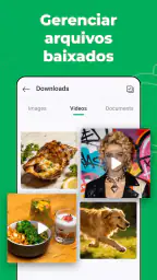 Web Scanner – Chat Duplo 5