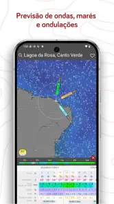 Windy.com - Previsão do tempo screenshot