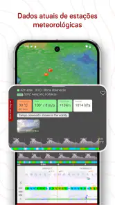 Windy.com - Previsão do tempo screenshot
