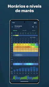 Windy: previsão de surf e vela screenshot