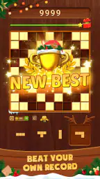 Wood Block: Block Puzzle 5