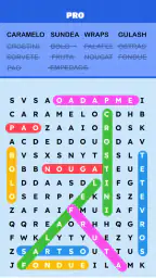 Word Search Puzzle Challenge 1