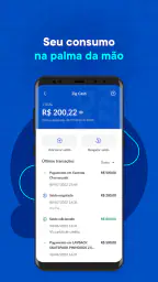 Zig: Ingressos e consumo fácil 7