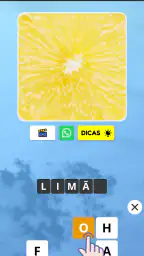 Zoom Quiz: Jogo de Imagens 2