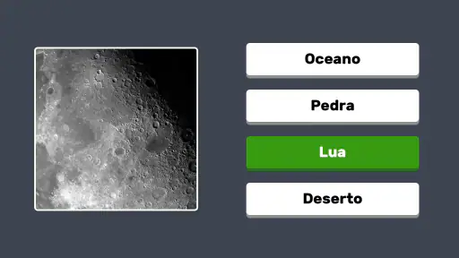 Zoom Quiz: Jogo de Imagens 6