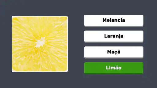 Zoom Quiz: Jogo de Imagens 7