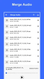 Convertidor de vídeo a MP3 5
