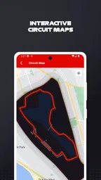 F1 Race Guide 1