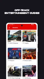 F1 Race Guide 4