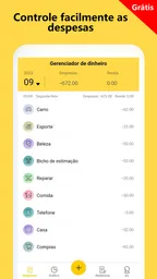 Gestor de Despesas e Orçamento 1