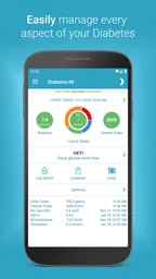 Diabetes:M - Blood Sugar Diary 1
