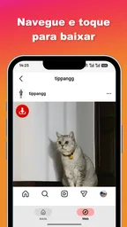 Baixar vídeos e fotos Ins 3