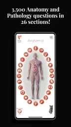 Anatomist - The Anatomy Game 1