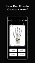Anatomist - The Anatomy Game 4