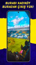 Fenerbahçe Duvar Kağıtları 6