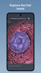 VOKA 3D Anatomi ve Patoloji 4