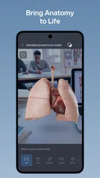 VOKA 3D Anatomi ve Patoloji 7