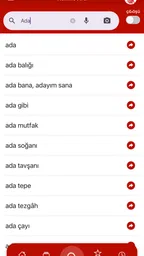 Türkçe Sözlük 6