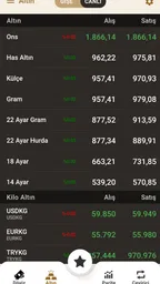 Altınkaynak Döviz & Altın 2