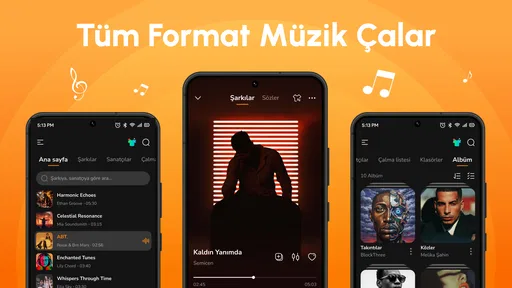 Çevrimdışı Müzik Audio Insigh 1